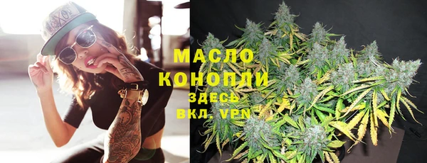 дмт Алексин