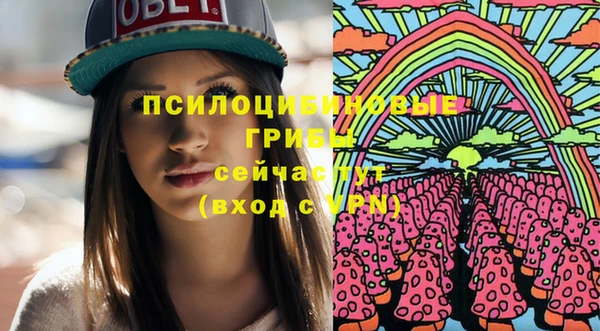 дмт Алексин
