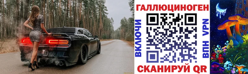 Псилоцибиновые грибы Cubensis  Могоча 